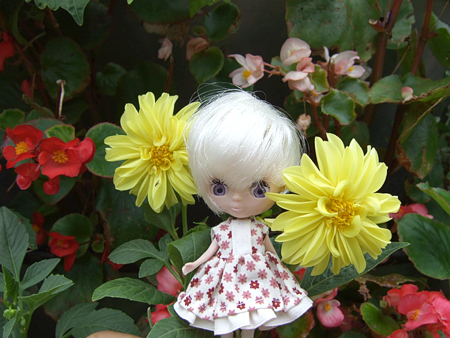 080731-2.jpg
