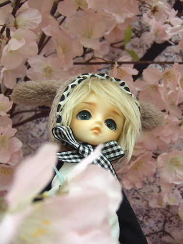 100325-12la.jpg