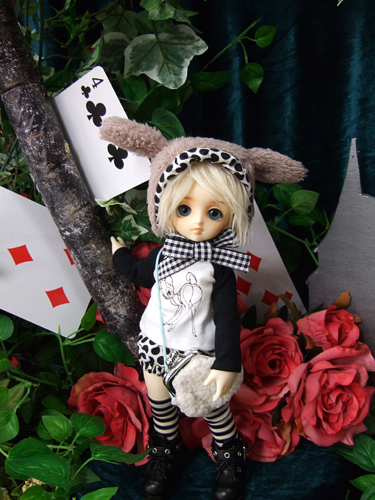 100325-1y.jpg