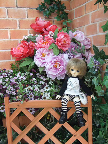 100610-12t.jpg