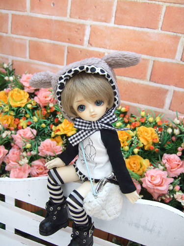 100610-1t.jpg