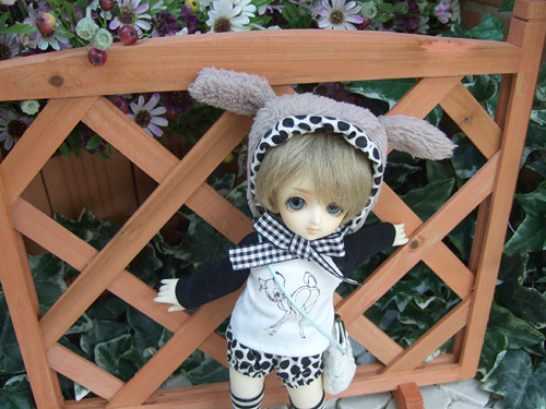 100610-2t.jpg