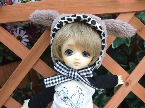 100610-3t.jpg