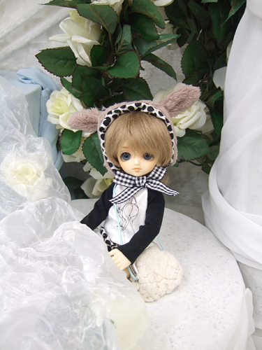 100610-4m.jpg