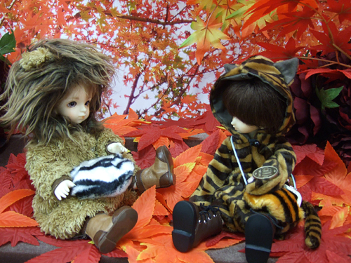 101118-7.jpg