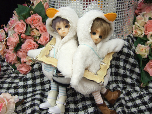 101216-9.jpg