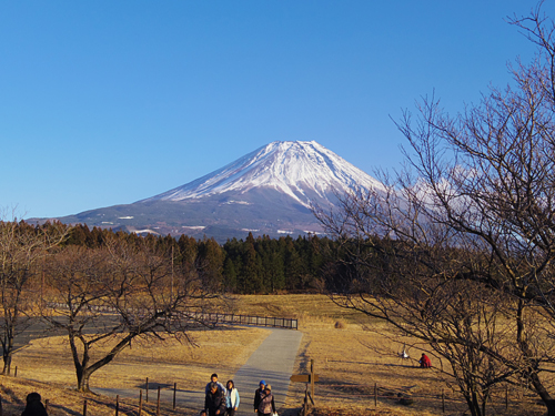 140102-7.jpg