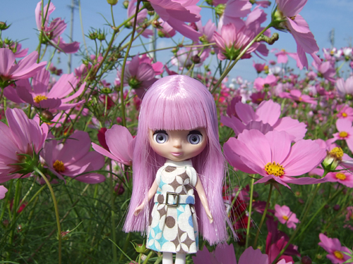 2iris1.jpg