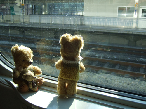 bear12.jpg