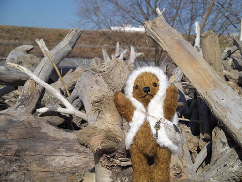bear17.jpg