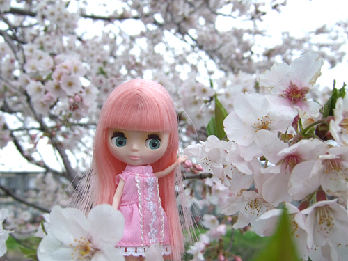 cherie1.jpg