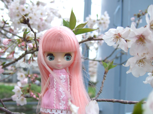 cherie2.jpg