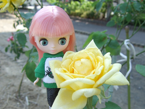 cherie3.jpg
