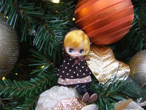 clover16.jpg