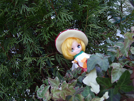 clover8.jpg