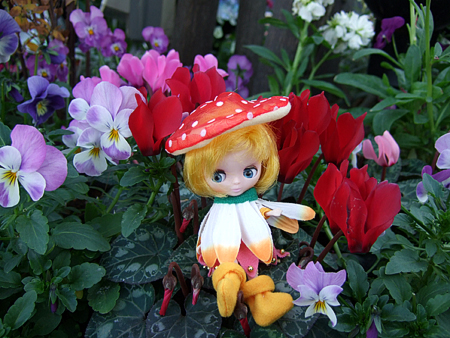 clover9.jpg