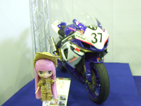 iris7.jpg
