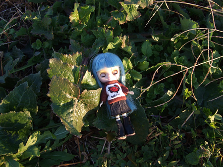 riris2.jpg