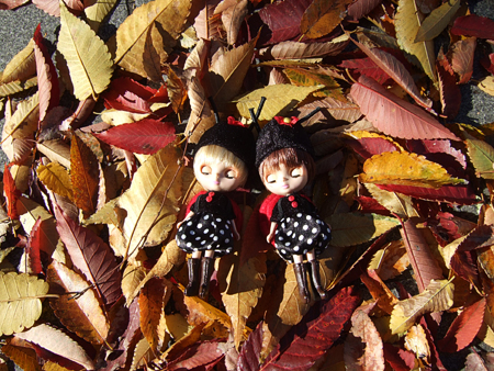 twins9.jpg