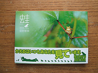 kero265.jpg