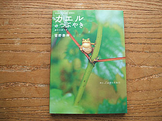 kero266.jpg