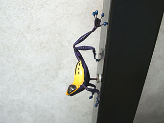 kero276.jpg