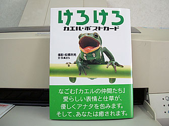 kero366.jpg