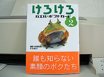 kero367.jpg