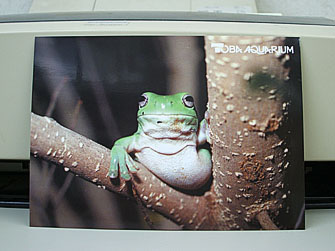 kero385.jpg