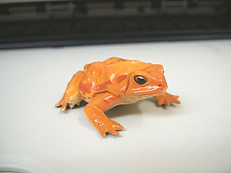 kero389.jpg