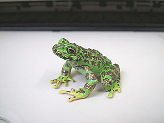 kero390.jpg