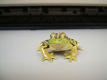 kero395.jpg