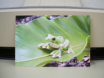 kero576.jpg