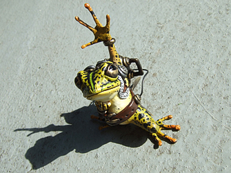kero629.jpg